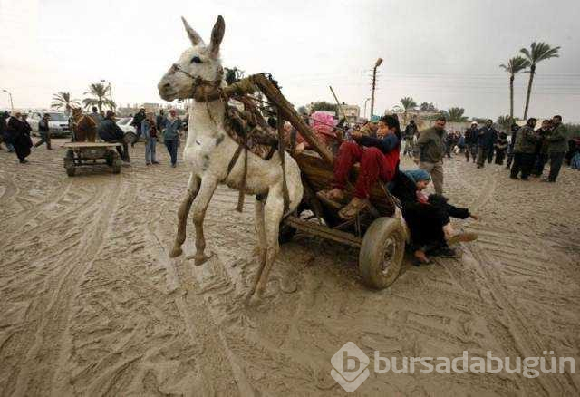 Günün en çok paylaşılan fotoğrafları