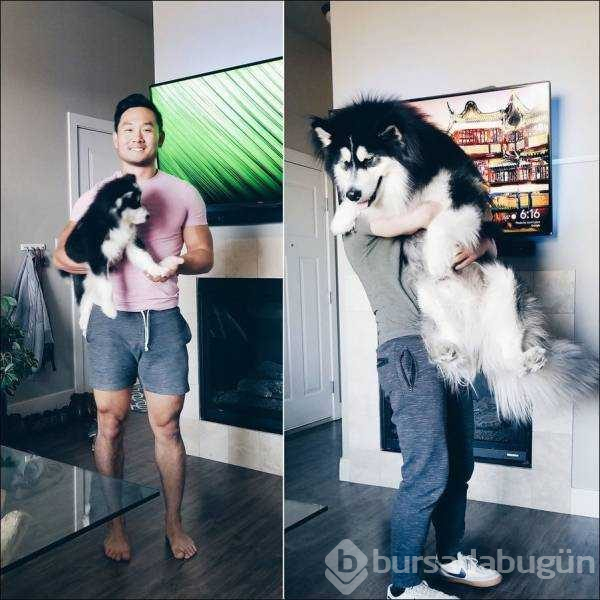 Günün en çok paylaşılan fotoğrafları