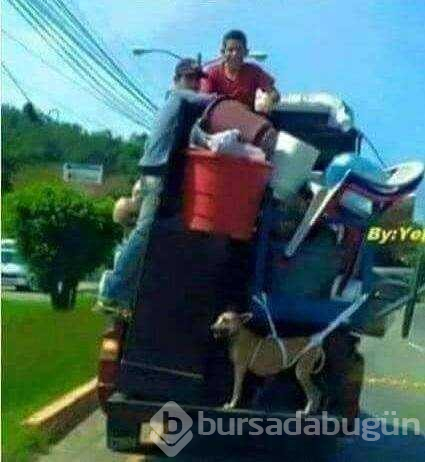 Günün en çok paylaşılan fotoğrafları