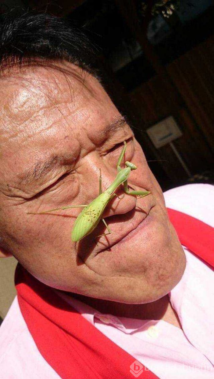 Günün en çok paylaşılan fotoğrafları