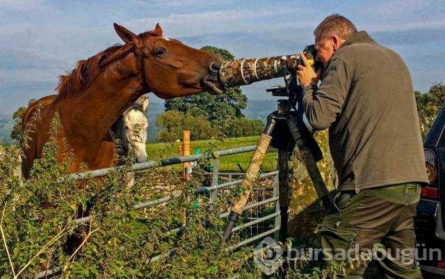 Günün en çok paylaşılan fotoğrafları