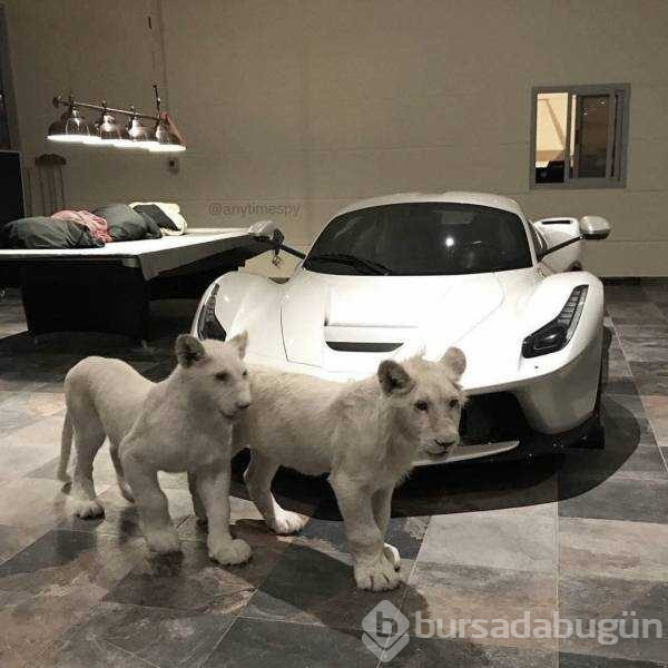 Günün en çok paylaşılan fotoğrafları