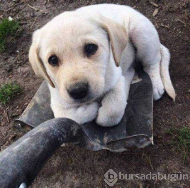 Günün en çok paylaşılan fotoğrafları