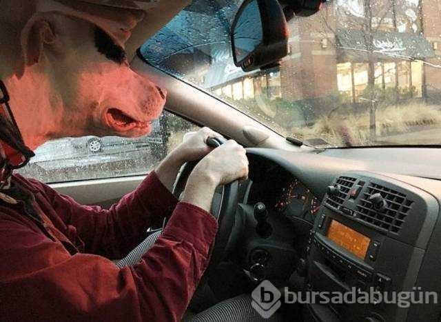Günün en çok paylaşılan fotoğrafları