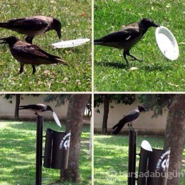 Günün en çok paylaşılan fotoğrafları