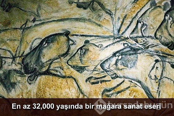 Ne olduğunu öğrenince çok şaşıracaksınız!