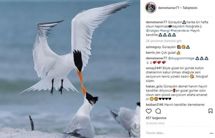 Ünlülerin Instagram paylaşımları (30.04.2018)