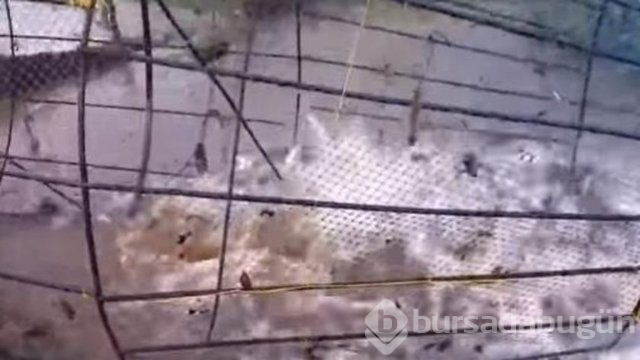 Onlar avladı herkes şaştı kaldı!