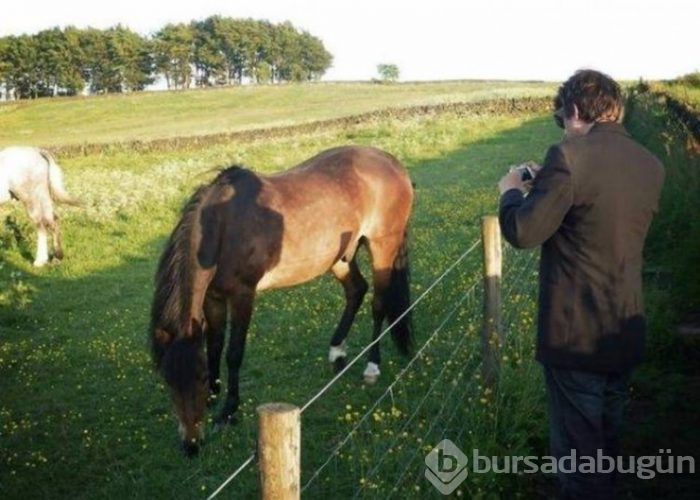 Fotoğraflardaki ilginç göz yanılmaları