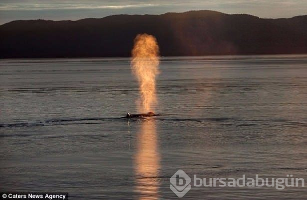 Fotoğraflardaki ilginç göz yanılmaları