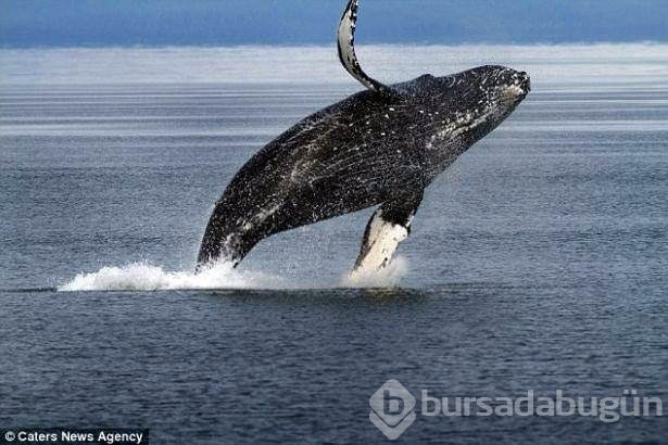 Fotoğraflardaki ilginç göz yanılmaları