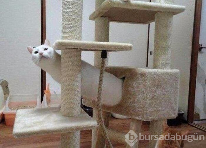 Fotoğraflardaki ilginç göz yanılmaları