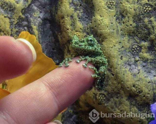 Günün en çok paylaşılan fotoğrafları