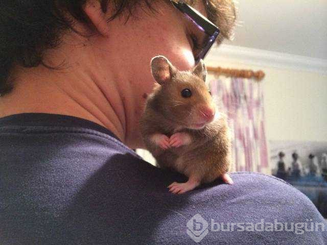 Günün en çok paylaşılan fotoğrafları
