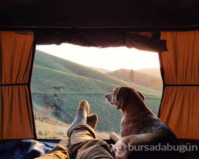 Günün en çok paylaşılan fotoğrafları