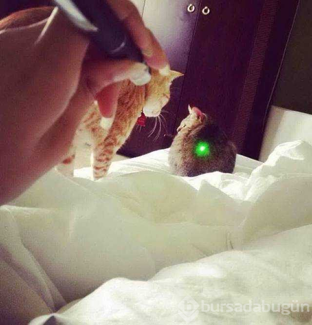 Günün en çok paylaşılan fotoğrafları