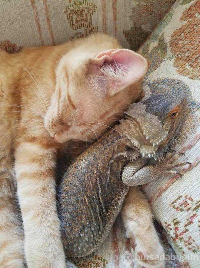 Günün en çok paylaşılan fotoğrafları