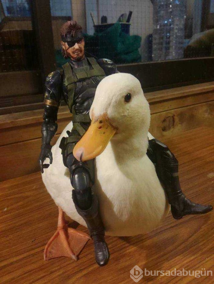 Günün en çok paylaşılan fotoğrafları