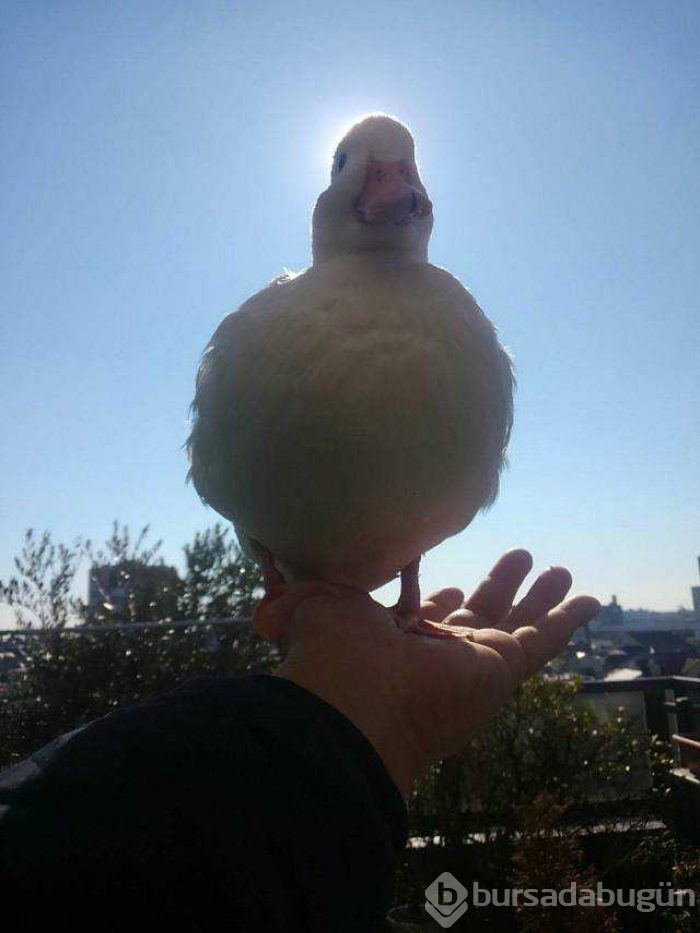 Günün en çok paylaşılan fotoğrafları