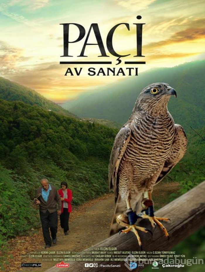 Paçi: Av Sanatı