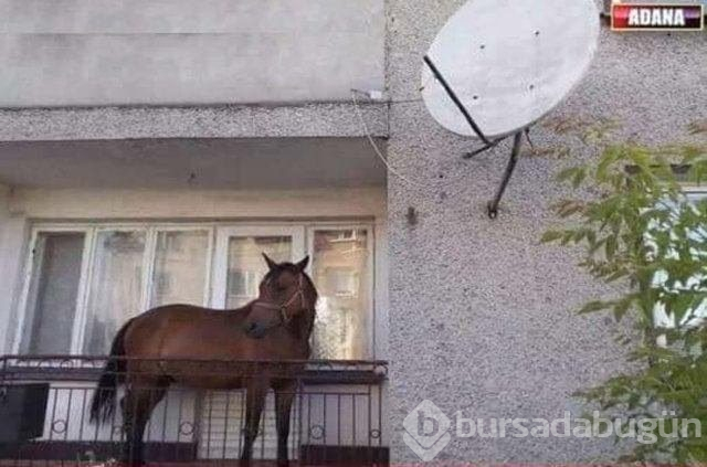 Anlam verilemeyen kareler