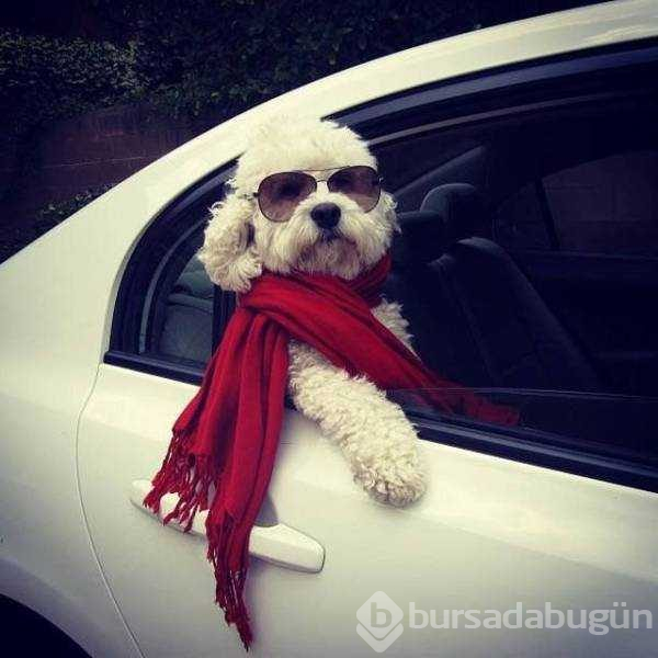 Günün en çok paylaşılan fotoğrafları