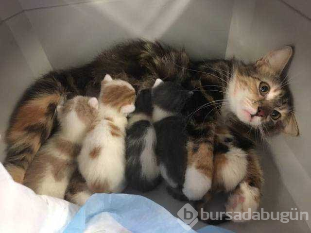 Günün en çok paylaşılan fotoğrafları
