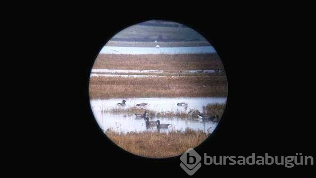 Günün en çok paylaşılan fotoğrafları