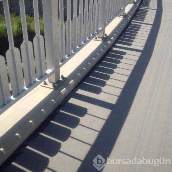 Günün en çok paylaşılan fotoğrafları