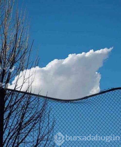 Günün en çok paylaşılan fotoğrafları