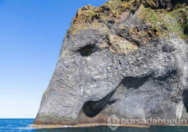 Günün en çok paylaşılan fotoğrafları