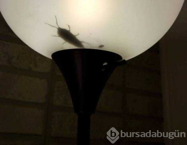 Günün en çok paylaşılan fotoğrafları