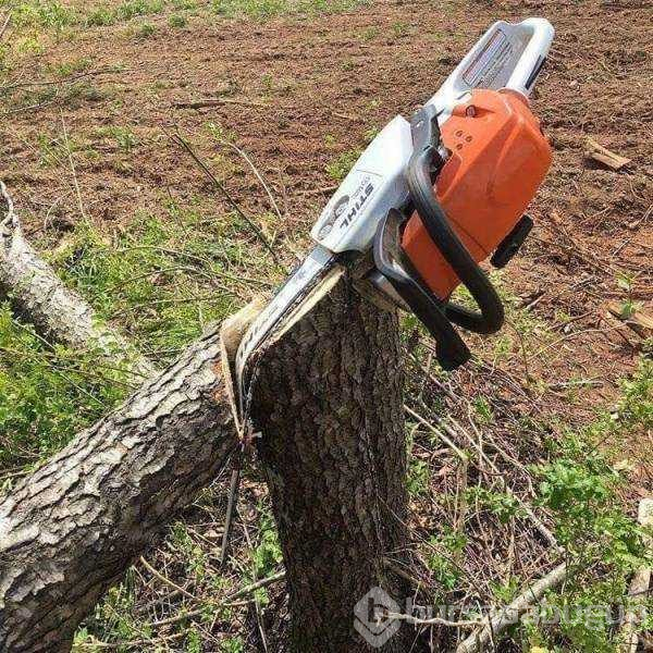 Günün en çok paylaşılan fotoğrafları