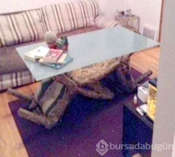 Çözüm odaklı insanlar farklı oluyor!

