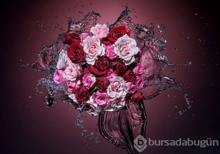Muhteşem fotoğrafların perde arkası