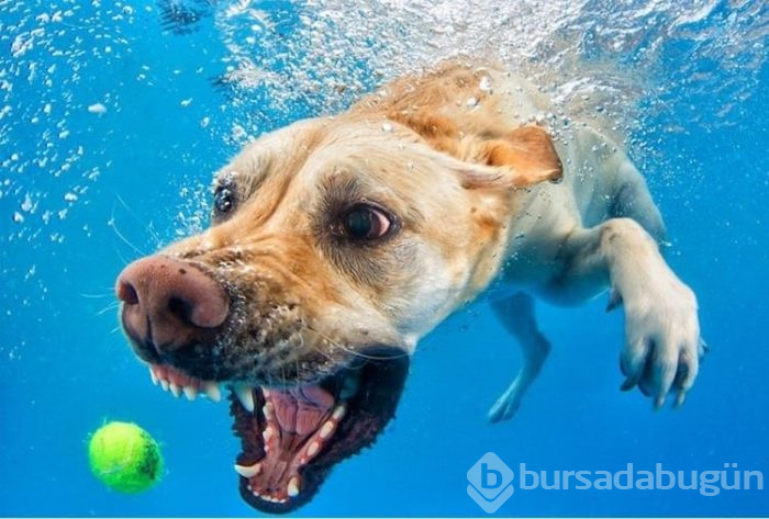 Muhteşem fotoğrafların perde arkası