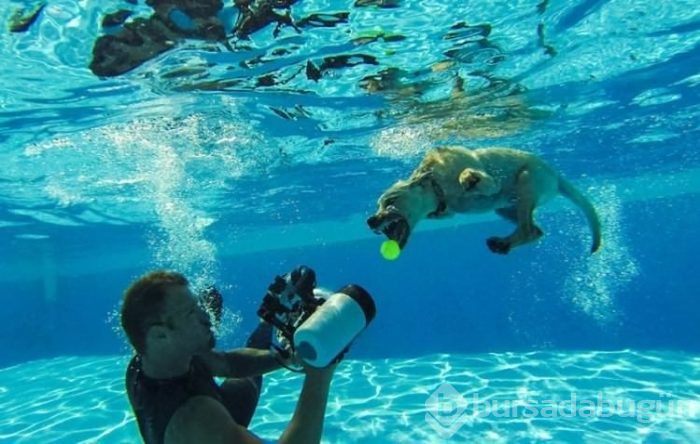 Muhteşem fotoğrafların perde arkası