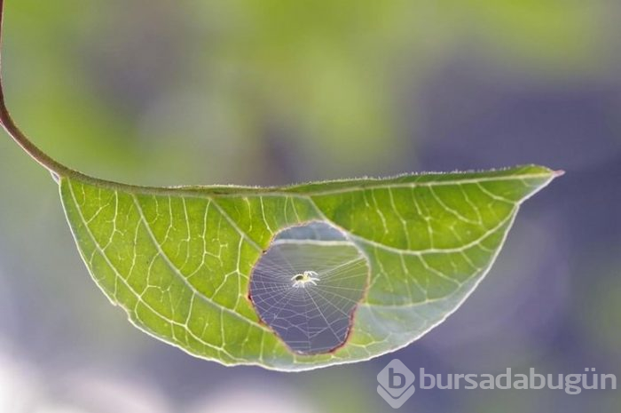 Muhteşem fotoğrafların perde arkası