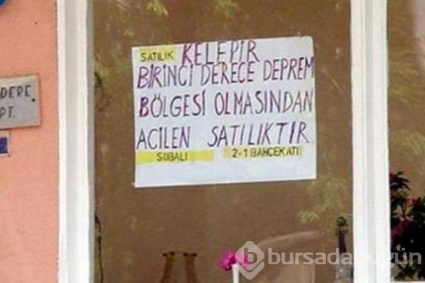 Yurdum insanından ilginç yazılar
