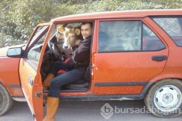 Yurdum insanından ilginç yazılar