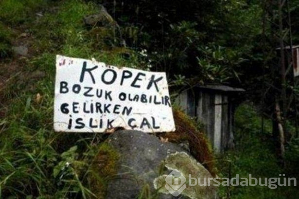Yurdum insanından ilginç yazılar