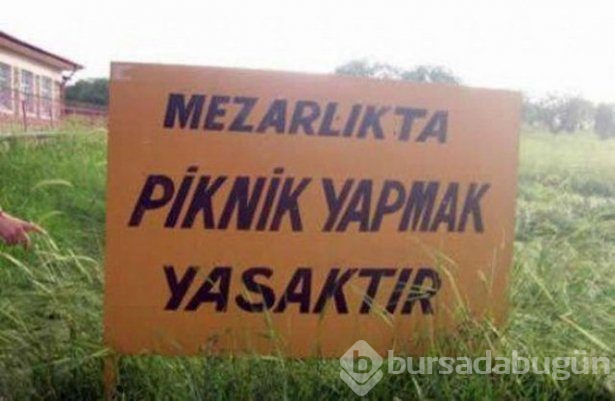 Yurdum insanından ilginç yazılar
