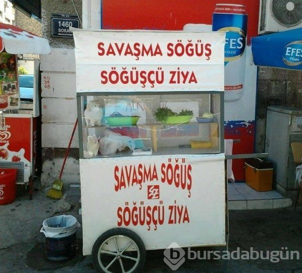 Yurdum insanından ilginç yazılar
