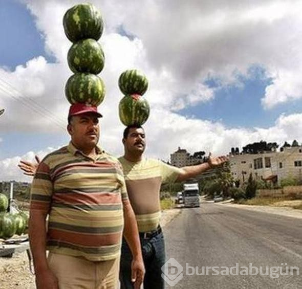 Türkiye'den dünyaya yayıldılar!