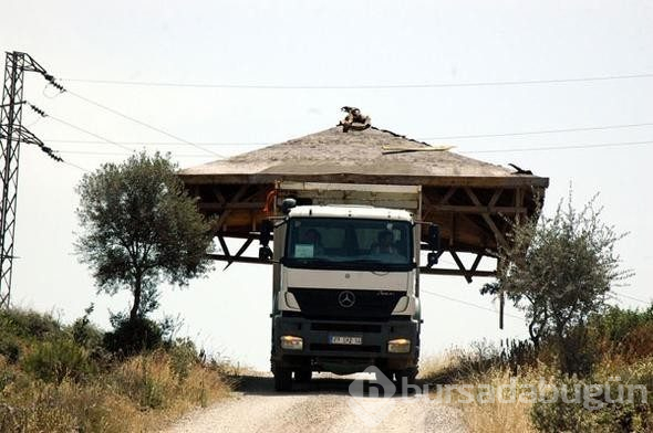 Türkiye'den dünyaya yayıldılar!