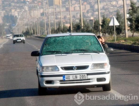 Türkiye'den dünyaya yayıldılar!