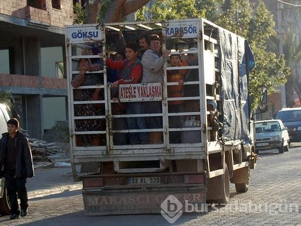 Türkiye'den dünyaya yayıldılar!