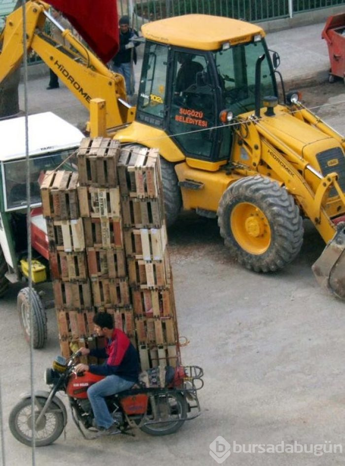 Türkiye'den dünyaya yayıldılar!