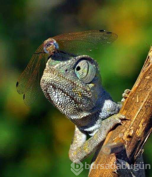 Günün en çok paylaşılan fotoğrafları