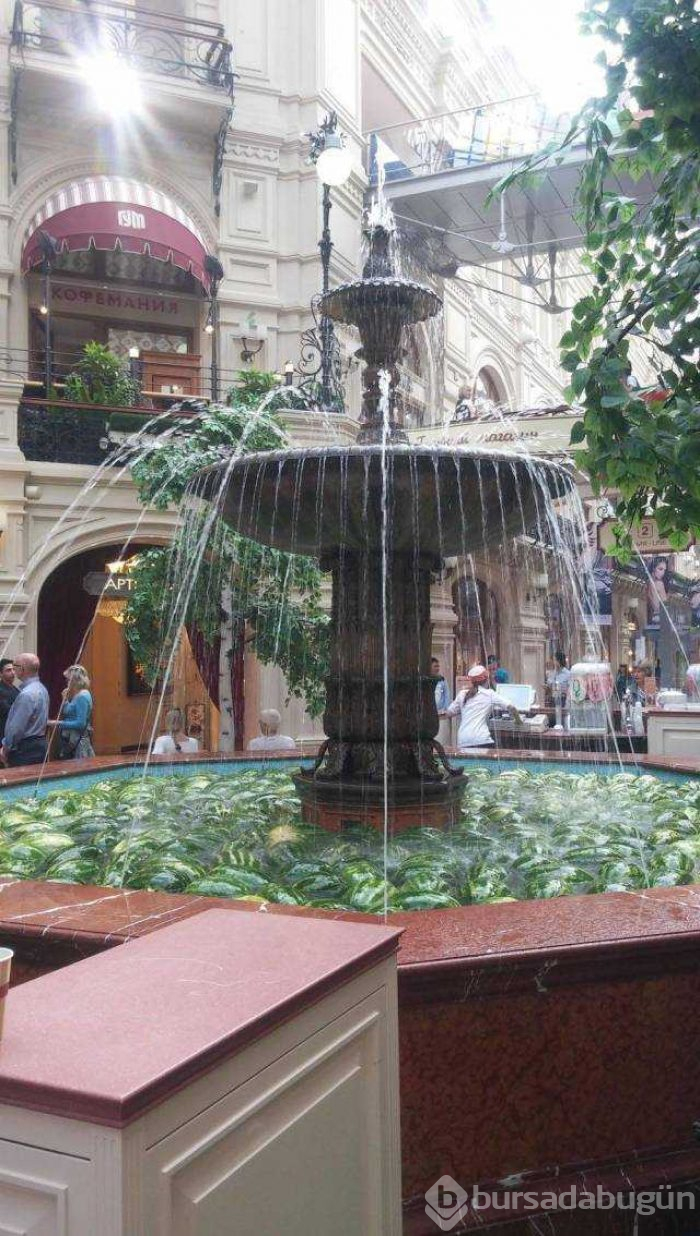 Günün en çok paylaşılan fotoğrafları
